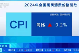 同比涨0.2% 2024年全年CPI温和上涨 2025年有望继续向合理区间回归图片