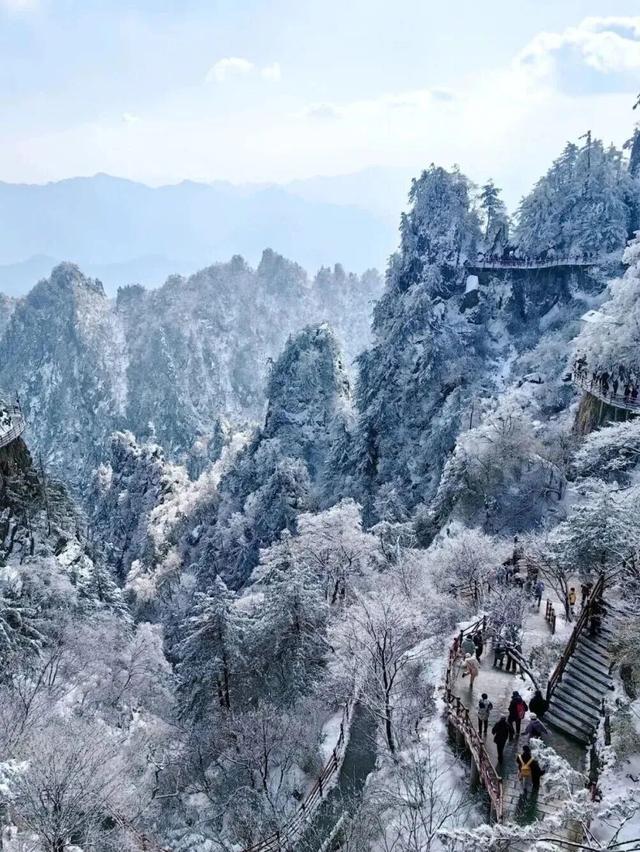 洛阳的第一场雪，来了！