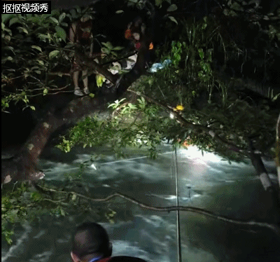 暴雨夜多名驴友受困！紧急救援接连上演……