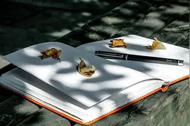 夜光杯美文课·快乐作文｜夜游新场古镇图片