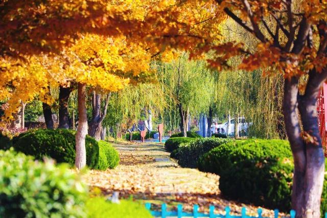 还在找威海初冬小众打卡地？这条河岸藏着惊喜