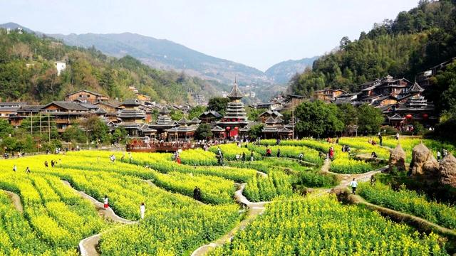 肇兴：春日限定 金色侗寨