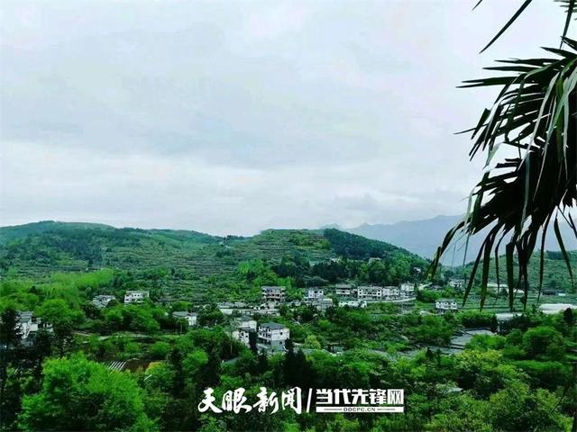 【多彩小水】绿水青山入画来，此间风景正好｜多彩之绿