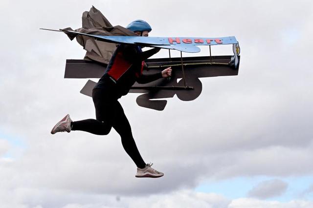 墨尔本见闻：生态与人文的交融