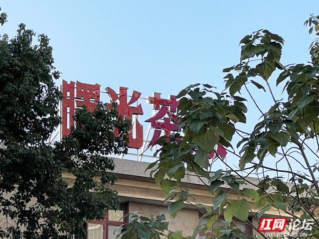 机油未冷，茶烟正起：在曙光茶厂与历史共饮