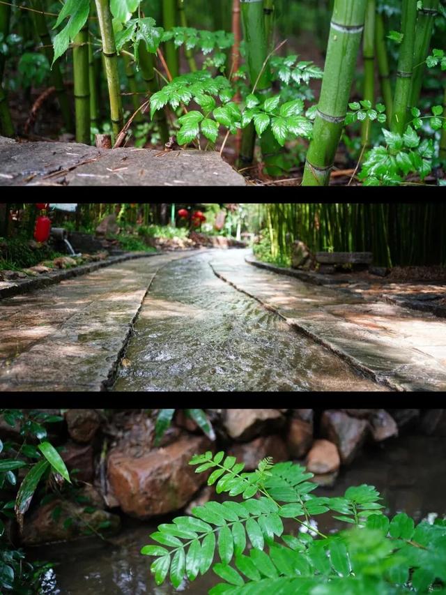 跟着影视剧去旅行｜逛日照山海盛景，品临沂红色情怀