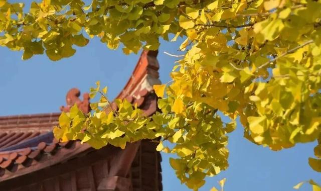 在郎溪，两天一夜还可以这样游！