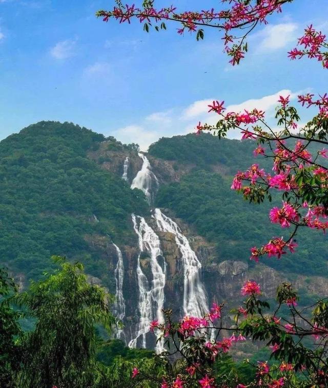 争创5A景区！珠江文之旅拿下白水仙瀑景区经营权，“艺术+文旅”新突破
