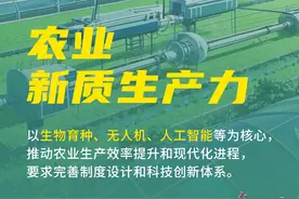 划重点！解码2025年中央一号文件中的这些“新词”图片