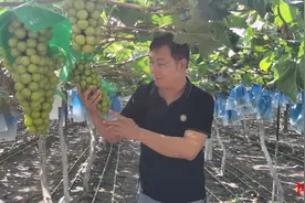 我的生活新变化｜王标：精品果园实现乡亲“共富梦”图片
