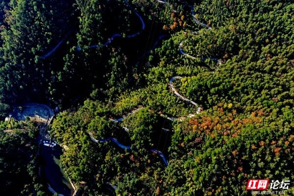 怀化中坡山，层林尽染的氧吧，市民天天逛、摄影家追着拍