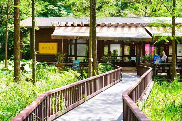 文化铸魂：广州珠江公园“公园+”活动点亮城市活力