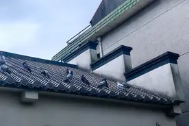 汤朔梅：玻璃门上的水印图片