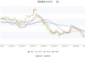 浦东建设：2024年上半年净利润2.61亿元 同比下降14.42%图片