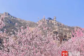 连云港：“春日经济”助力消费市场“春潮涌动”图片