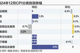 2024年CPI温和上涨 2025年有望向合理区间回归图片