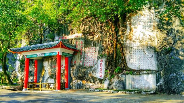 官宣！七星岩、鼎湖山门票买一送一！