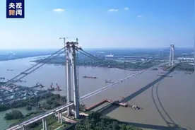 南京仙新路过江通道跨江大桥顺利合龙图片