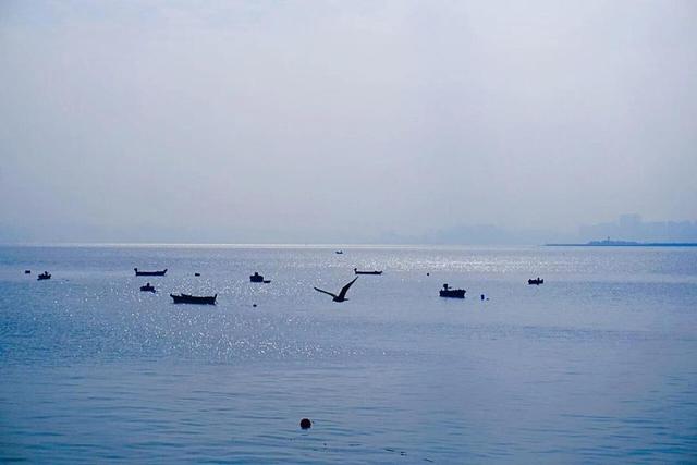 免费又出片！威海人私藏！钓鱼人、秋千、老渔船，治愈力满分～