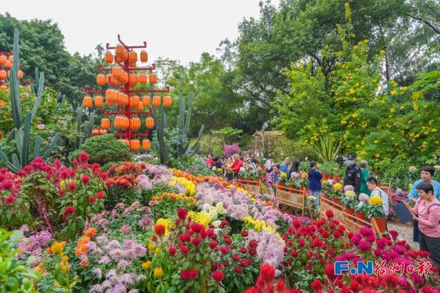 美得像春天！被福州的“蓝绿”治愈了！