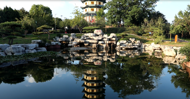 焕新归来！沂水东皋公园：四季有景夜有光 古塔生辉美出圈