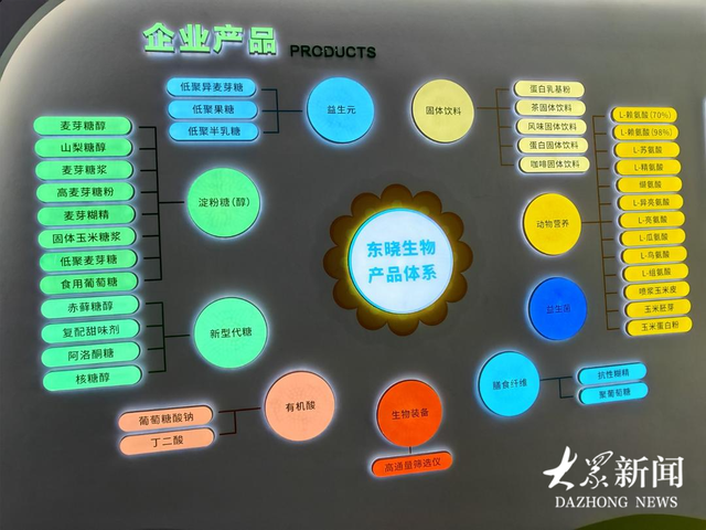 从一粒玉米到精深加工系列产品，东晓生物用科技引领健康生活