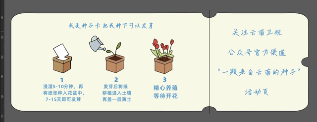 沿着长江去上海｜来云南展区开启“限定版”惊喜！