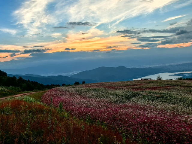 【跟着烧烤季游凉山】来凉山“躺营”，把烦恼丢进山谷的风里