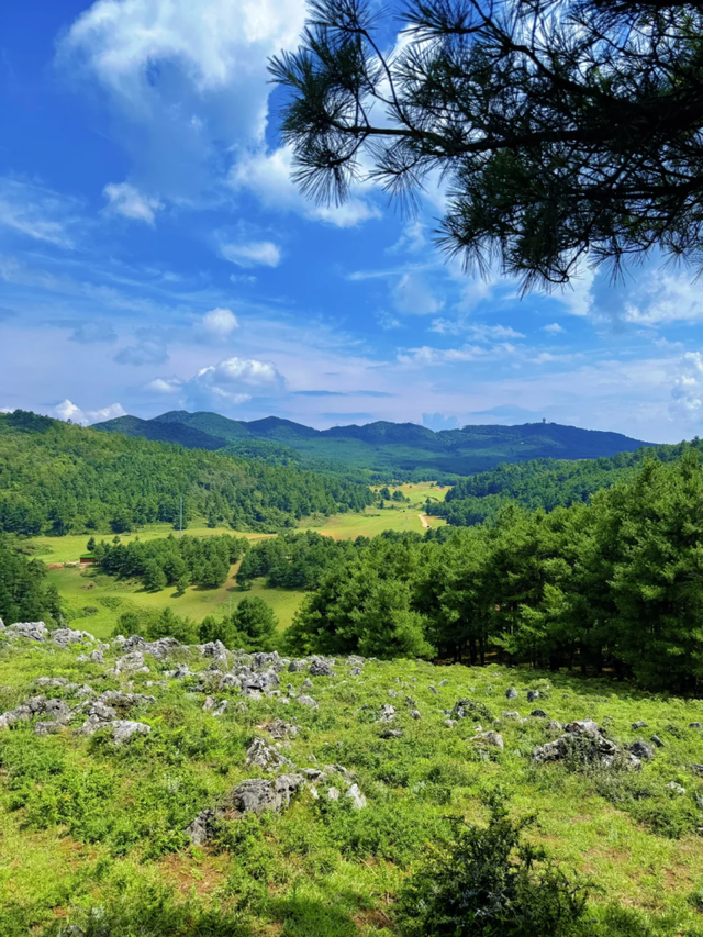 来盘龙大哨森林，我“氧”你啊！