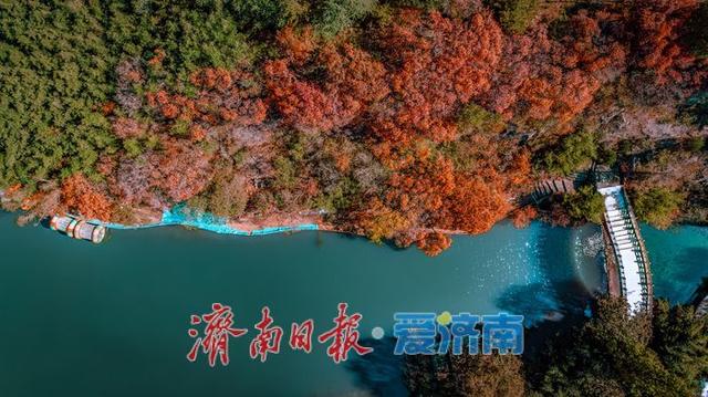 济南红叶谷：万山红遍层林尽染，秋日胜景醉游人