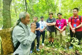 留学生在“人参之乡”体验古老神秘的“放山”习俗图片