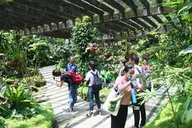 探秘世界宝藏植物的诺亚方舟：深圳加快创建国家植物园图片
