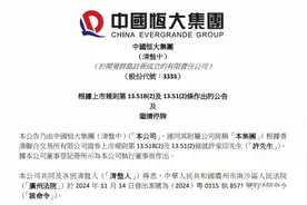 中国恒大及许家印，被限制高消费！图片