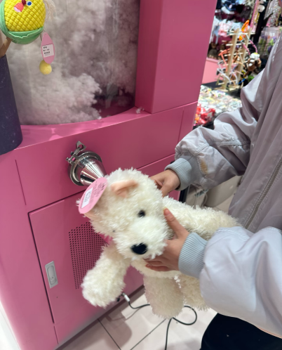 本周末，来这里逛吃逛喝（文末有福利）