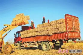 张掖：玉米秸秆变废为宝图片
