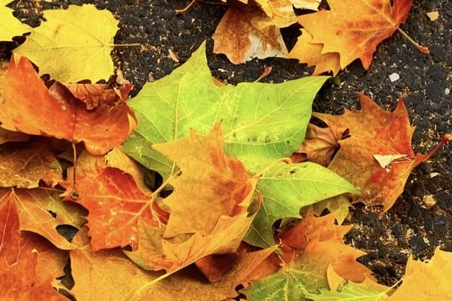 冬日到泰安文化路来一场Citywalk，只走一趟就沦陷