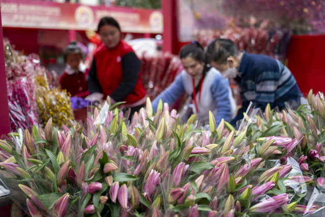 增城2026花市定档！打卡攻略→