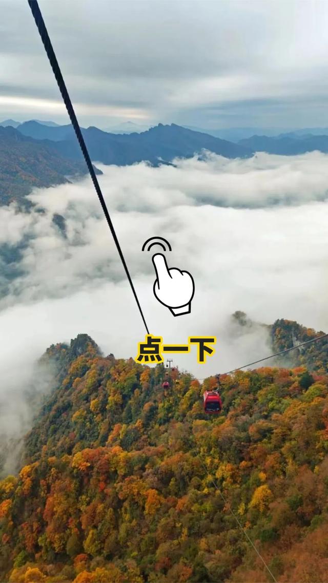 你拍的红叶总“差点意思”？问题可能出在第一步！