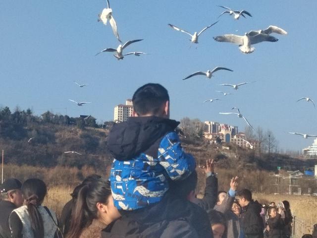 威宁:绘“人鸟共生”幸福新蓝图