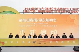 眉山市第七届晚熟柑橘节在青神开幕：当地被誉“中国椪柑之乡”，去年柑橘总产值达21亿元图片
