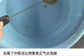 藿香正气水泡脚火了！谁都可以“插一脚”吗？图片