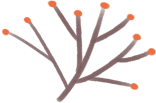 雪假在明天，抓紧来白山——游醉美边境线