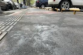 栾树“下雨”？专家：是蚜虫排泄物对人体无害，社区已提前做好预防图片