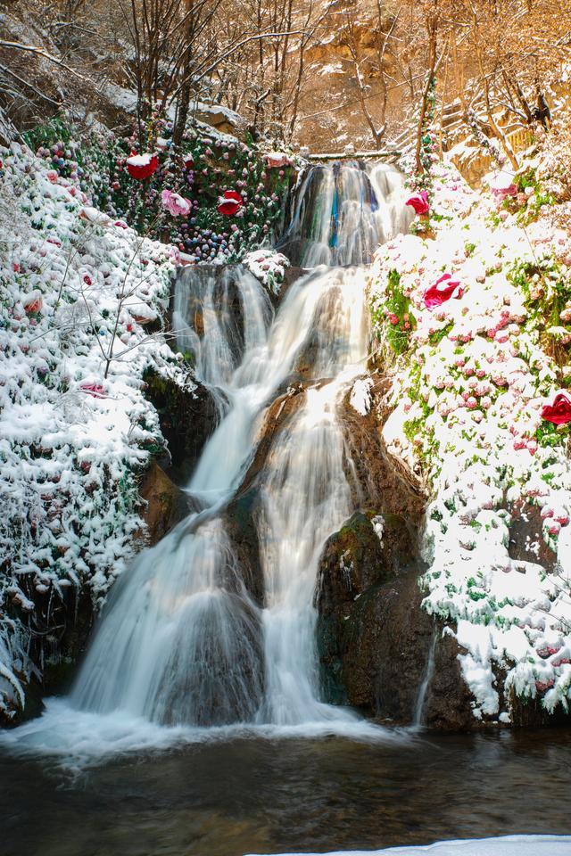 河南文旅雪后盛景：银装素裹绘就“一半仙境，一半人间”画卷