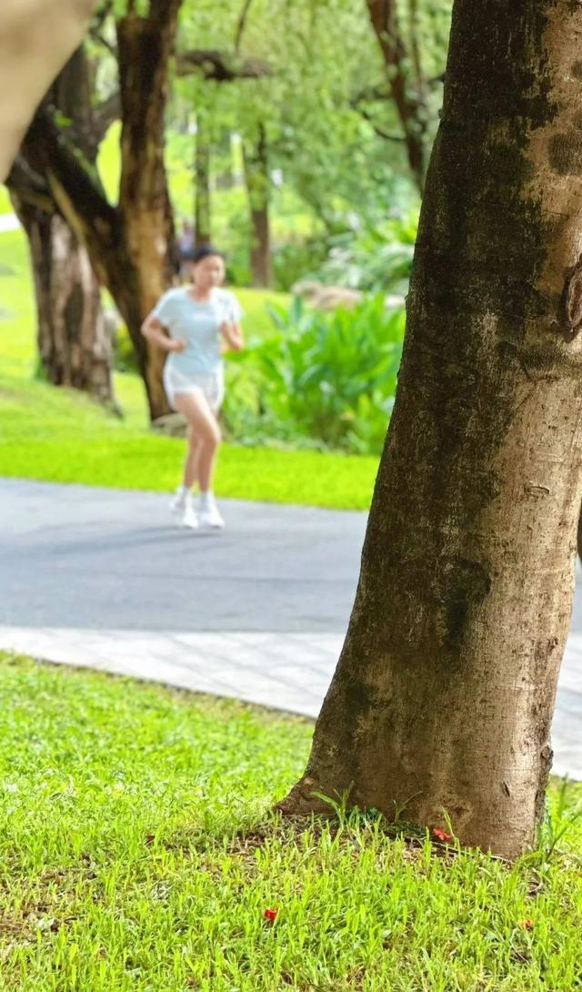 双园秘境在此！赴一场初秋的诗意漫游