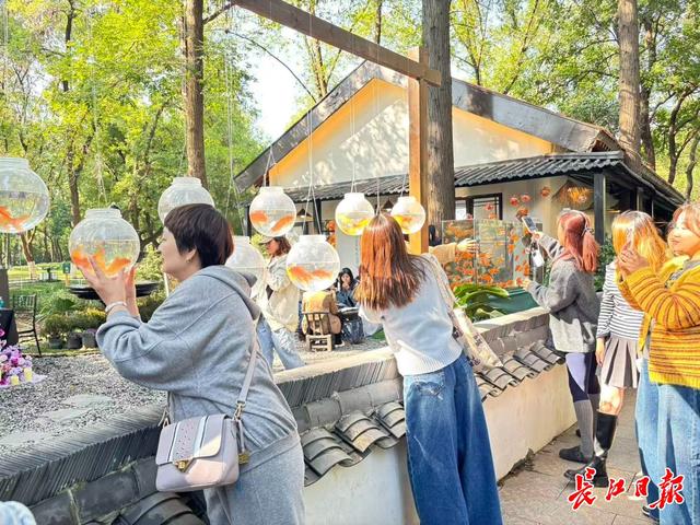 将秋天的颜色，调进咖啡和音乐里…… 武汉秋日的打开方式变了
