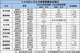 十大光伏上市公司高管薪资比拼，谁挣钱最多？图片