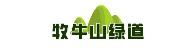 一城山色·泉城绿道 | 历下区山林绿道串起市民美好生活