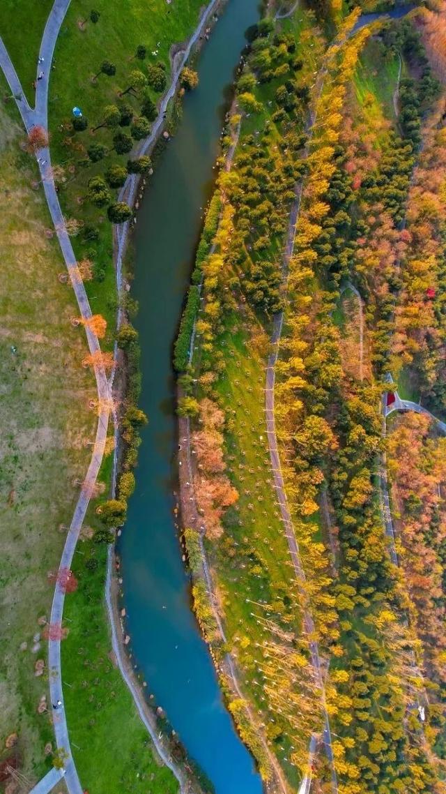 九峰山“画猪”、二妃山赏景，8条光谷跑友私藏路线等你来体验→