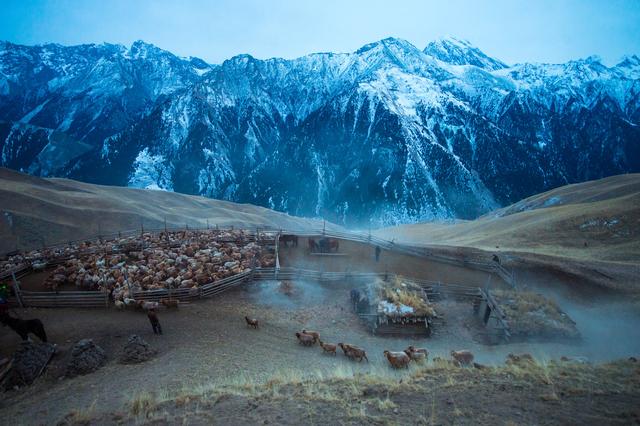 心动吗？这些冬日美景错过了就要再等一年！